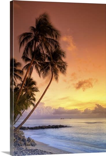 Caribbean, Barbados, Mullins Beach Photo Canvas Print | Great Big Canvas