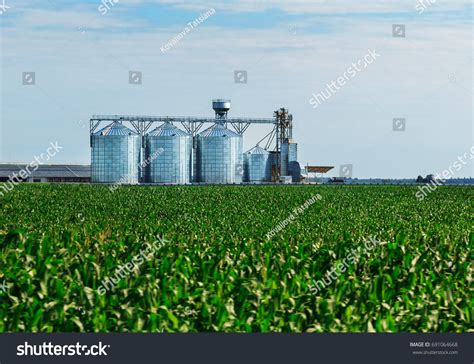 101 Grain Corn Field Set Storage Tanks Images, Stock Photos & Vectors | Shutterstock