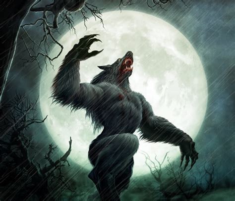 How to become a werewolf | WereWiki | Fandom powered by Wikia