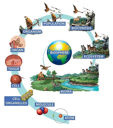 The Four Spheres Of The Earth - WorldAtlas