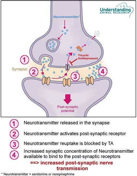 Amitriptyline hydrochloride - anti-depressant | ari.info | ari.info