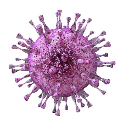 Il citomegalovirus tiene in forma il sistema immunitario - Medicina ...