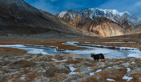 Winter Ladakh - Photography Tour