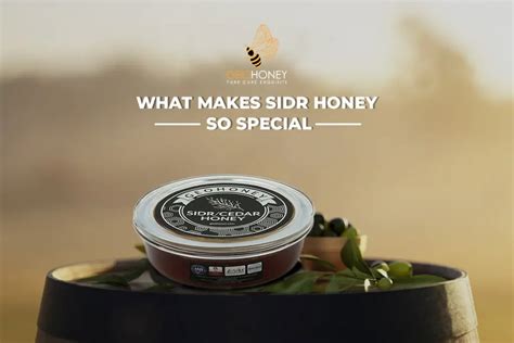 What Makes Sidr Honey So Special | Geohoney