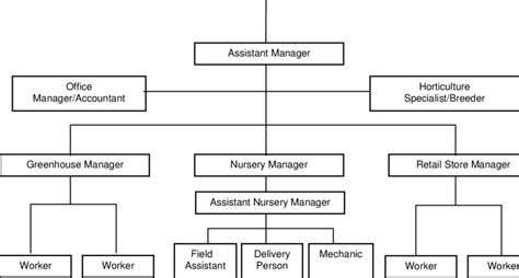 Line and staff organization structure | Download Scientific Diagram