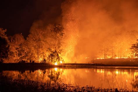 How You Can Support The Australian Bushfire Emergency & Relief Effort ...