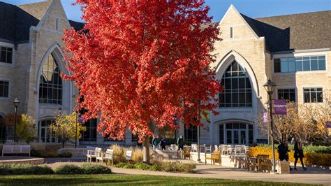 University of Minnesota School of Continuing Education - Johnson Loctionly