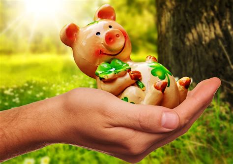 Free Images : hand, grass, play, flower, food, green, child, toy, eating, piglet, figure, infant ...