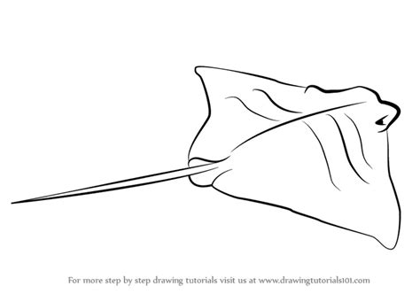 Learn How to Draw a Cownose Ray (Fishes) Step by Step : Drawing Tutorials