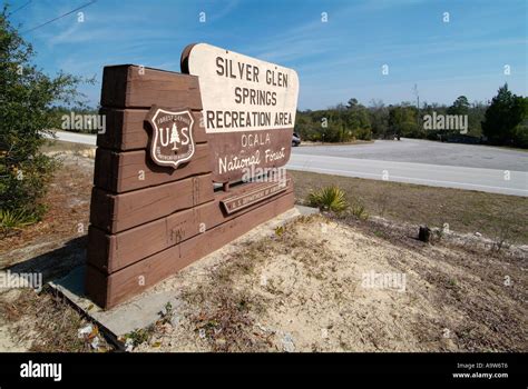 Ocala national forest hi-res stock photography and images - Alamy