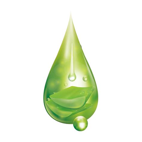 Aloevera Drop PNG Image - PurePNG | Free transparent CC0 PNG Image Library