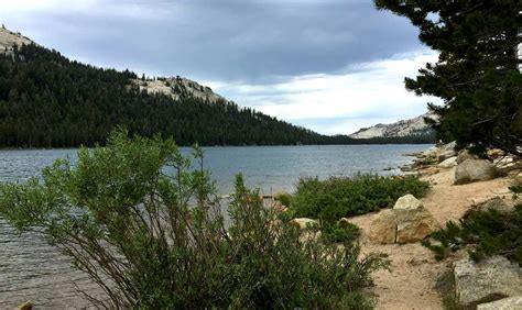 Tenaya Lake | Mariposa County | Yosemite National Park