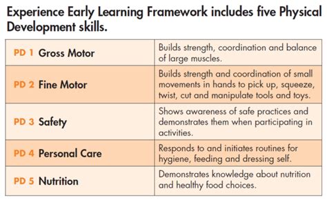 What is Physical Development? – Experience Early Learning