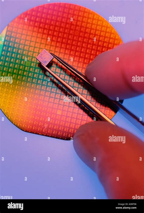 Silicon Wafer and Integrated Circuit Chip Stock Photo - Alamy