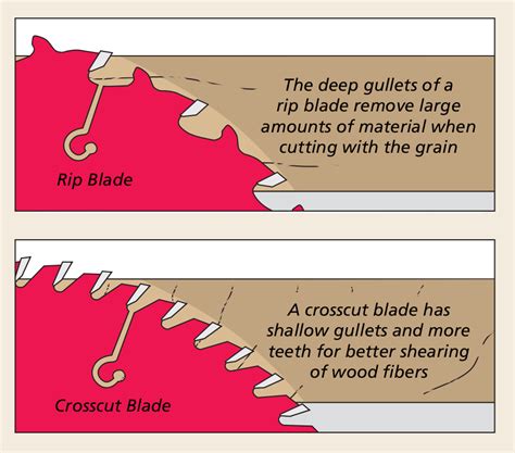 Selecting Table Saw Blades | Woodsmith