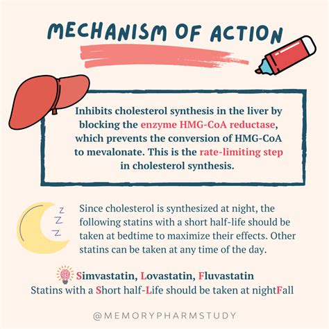 Statins mechanism of action | Pharmacology nursing, Pharmacology ...