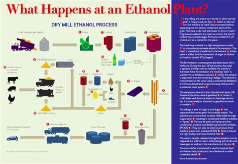 Nebraska Corn Kernels: Learning About Ethanol