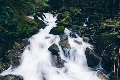 Snoqualmie River Trail – Tristan's Photos