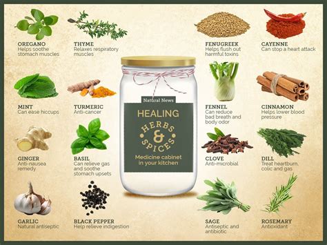 Pin by Christine Jensen on Herbs (With images) | Herbs, Healing herbs, Anti cancer