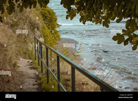 The walking path to the beach Stock Photo - Alamy