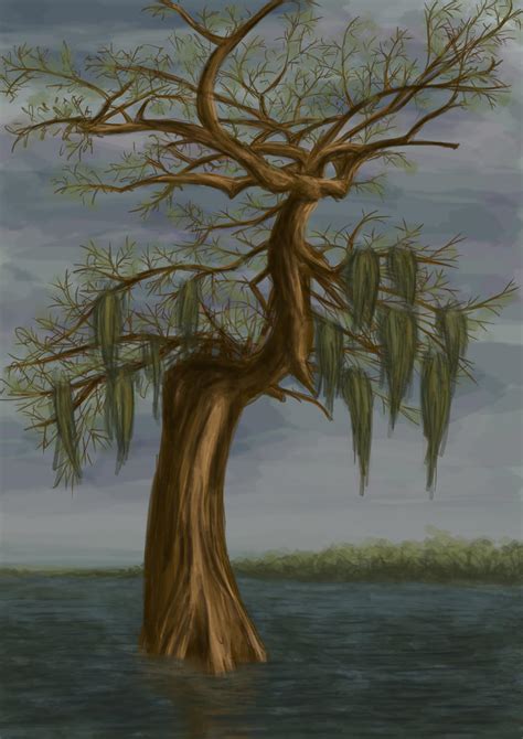 swamp tree by PetrolTail on DeviantArt