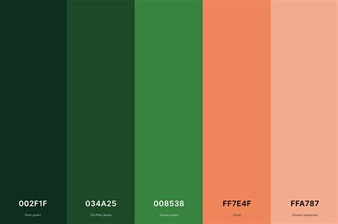 25+ Best Coral Color Palettes with Names and Hex Codes – CreativeBooster