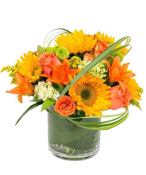 Fall Flower Arrangements Delivered Boston, MA - Central Square Florist