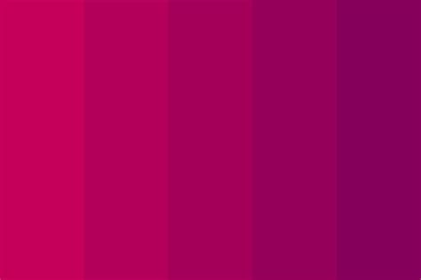 Fuchsia Color Rgb at Kevin Barney blog