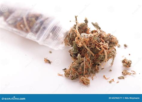 Close Up Dried Marijuana Leaves on the Table Stock Image - Image of bundle, pharmaceutical: 65296577