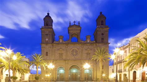 Hoteles que admiten mascotas baratos en Gran Canaria | Expedia.es