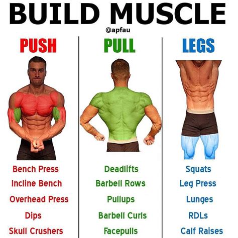 Ways to Increase Muscle Mass - Rijal's Blog