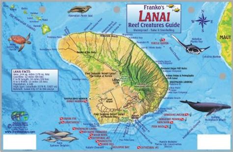 Guide to Lanai, Reef Creatures by Frankos Maps Ltd. | Lanai, Hawaii ...