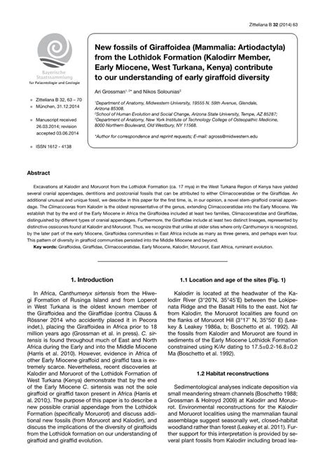 New Fossils of Giraffoidea (Mammalia: Artiodactyla) from the Lothidok Formation (Kalodirr Member ...