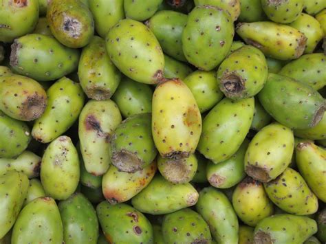 How To Cut and Eat Prickly Pear (Cactus Fruit)