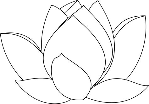 How To Draw A Lotus Flower Water Lily | Flower line drawings, Flower drawing, Lotus flower drawing