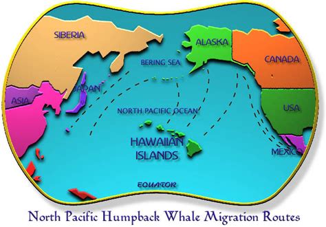 Hawaii Wildlife Fund - Humpback Whale Migration