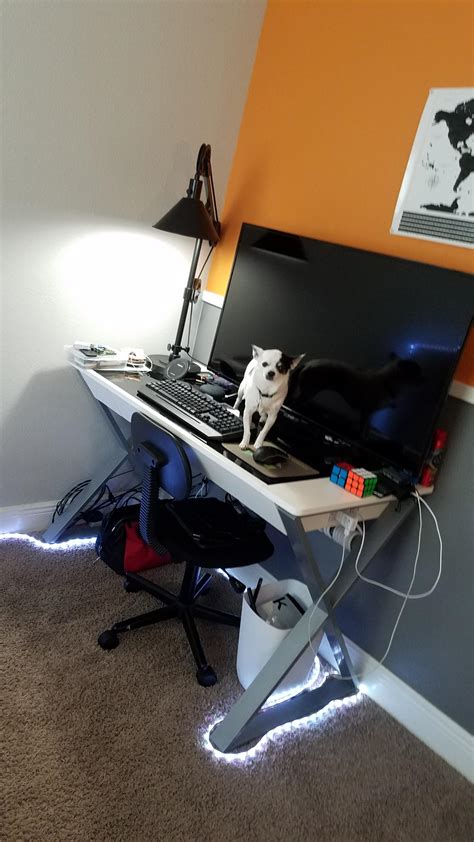 Rat on my set-up : r/battlestations