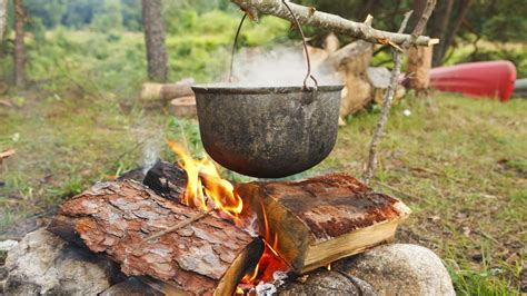 El procesamiento de vegetales (molienda y cocción) en las poblaciones de Neandertales y Sapiens.