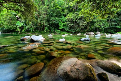 Exploring Australia's rainforests | Rough Guides