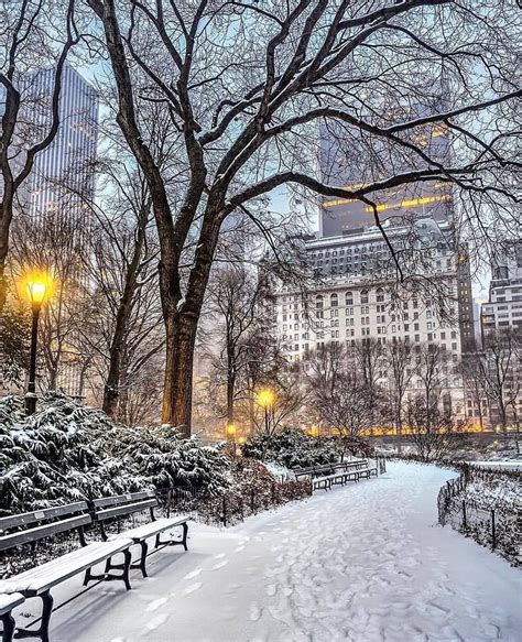 Central Park New York, Central Park Winter, City Central, New York ...