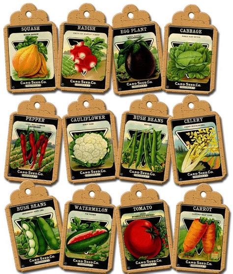 Vegetable Seeds Available Near Me - Garden Plant