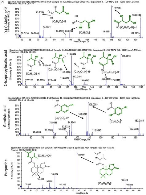 Mass/mass spectra showed a fragmentation pattern of some selected... | Download Scientific Diagram