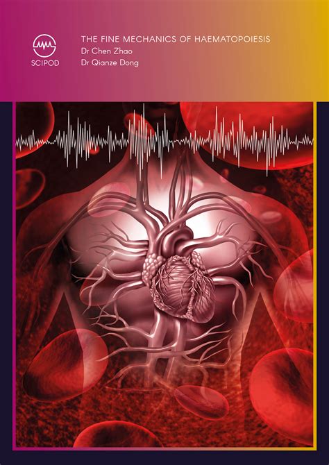 A Personalised Mathematical Model for Anaemia in Patients with Chronic ...