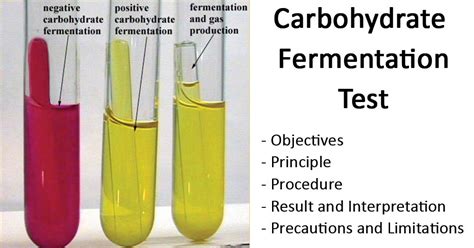 How Does Fermentation Take Place