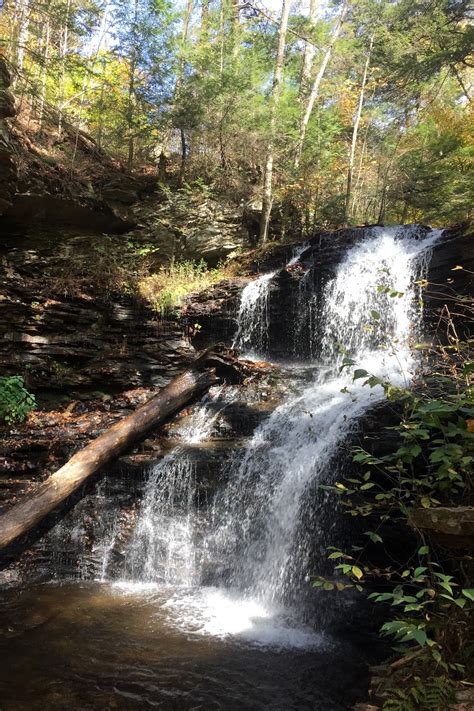 My Paisley World: Hiking the Falls Trail at Rickett's Glen State Park, PA