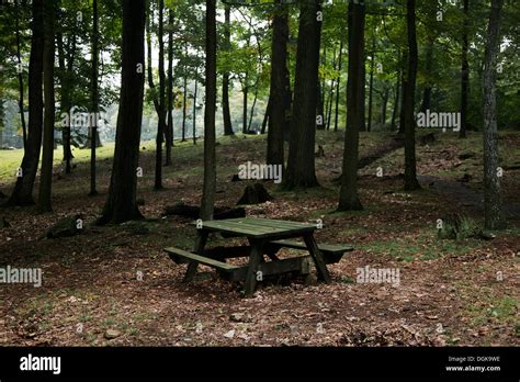 Coopers Rock State Forest Stock Photo - Alamy