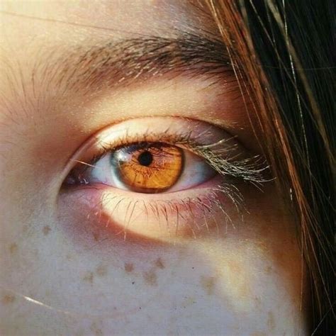 Brown Eyes Aesthetic Girl | Brown eyes aesthetic, Aesthetic eyes, Eye photography