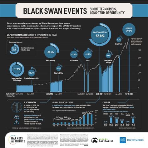 We Are Experiencing a "Black Swan" Event. Here’s What That Means.