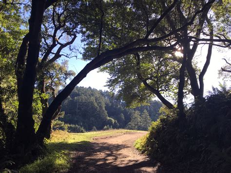 Bear Valley Trail — Point Reyes Nature