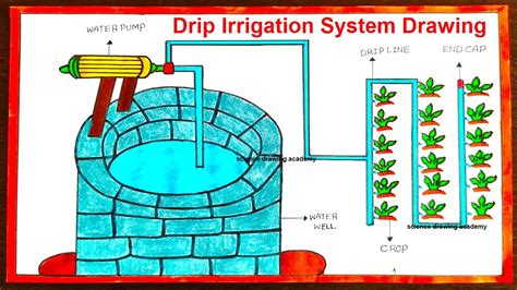 Update 70+ drip irrigation sketch latest - seven.edu.vn